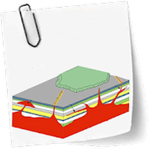 Magmatic Petrology course logo