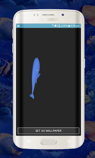 [Updated] Blue Whale Live Wallpapers Mod for Android / Windows PC (2023)