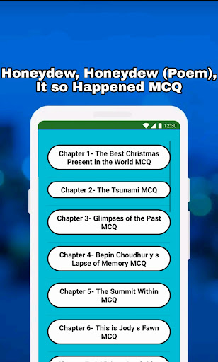 Screenshot of 8th Class English Solution MCQ