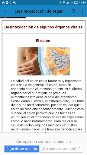 Dietas de Desintoxicación