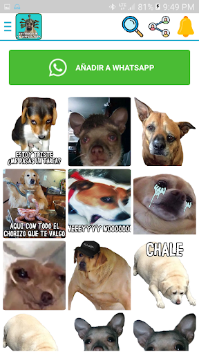 Dogs stickers and funny Dogs memes