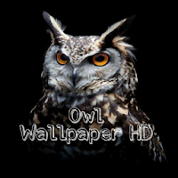 OWL Wallpaper HD