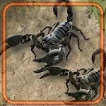 Cover Image of Download Scorpions Live Wallpaper  APK