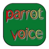 Cute Parrot Voice Ringtones icon