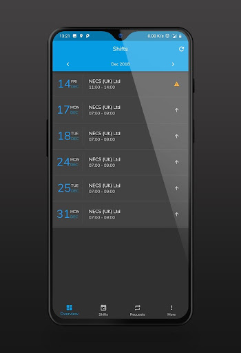 NECS Screen 3