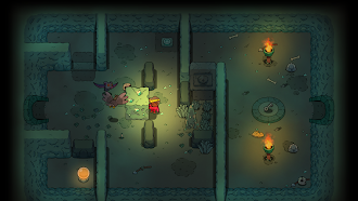 Game screenshot The Swords of Ditto mod apk