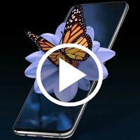 Video Live Wallpaper