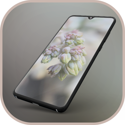 Theme for Realme C3 logo