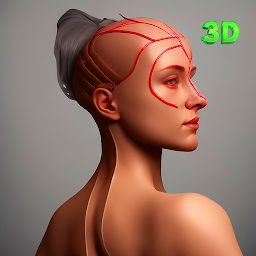 Female Anatomy 3d atlas