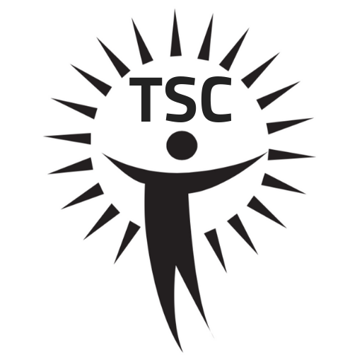 THE-STUDY COURT logo