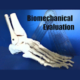 Biomechanical Evaluation icon