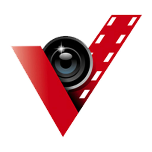 Vizimage logo