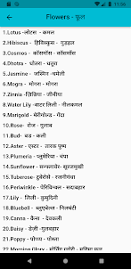 English to Hindi Meaning