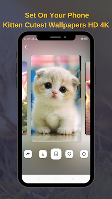 Kitten Cutest Wallpapers HD 4Kのおすすめ画像4