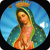 Historia de la Virgen de Guadalupe Audio y Texto icon