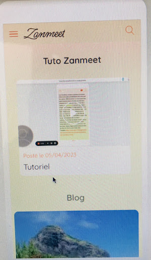 Zanmeet Screen 2