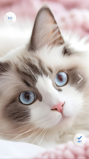 Sweet Animals Wallpapers Screen 2