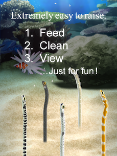 Garden Eel Pet MOD APK (Unlimited Love) Download 8