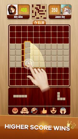 Game screenshot Woody Battle Block Puzzle Dual hack