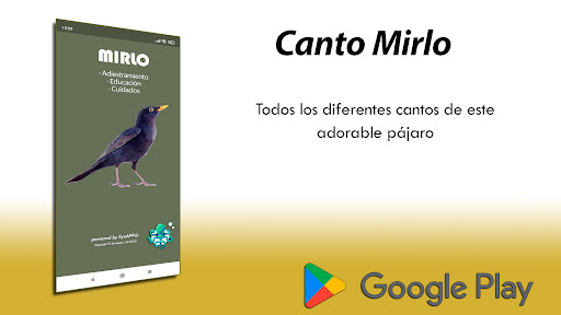 Canto Mirlo Screenshot 1 - AppWisp.com