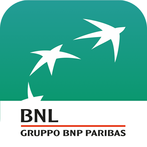 BNP APN Installer logo