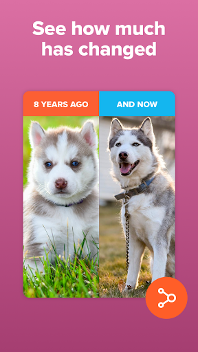 Screenshot of Timehop - Memories Then & Now