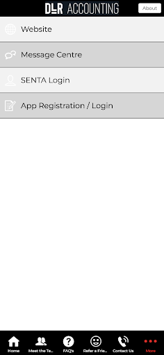 DLR Accounting Screen 3