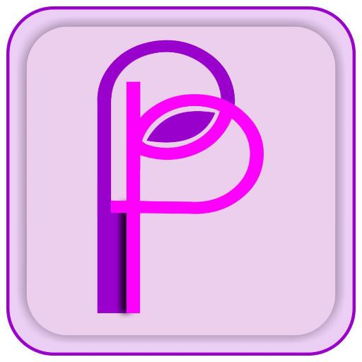 Padiepal - Pay & Send Money logo