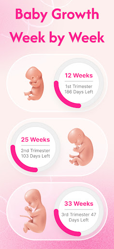 Pregnancy Tracker & Calculator screenshot 16