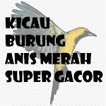 Cover Image of Download KICAU BURUNG ANIS MERAH SUPER GACOR  APK