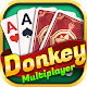Donkey Multiplayer