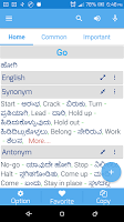 screenshot of Kannada Dictionary Multifuncti