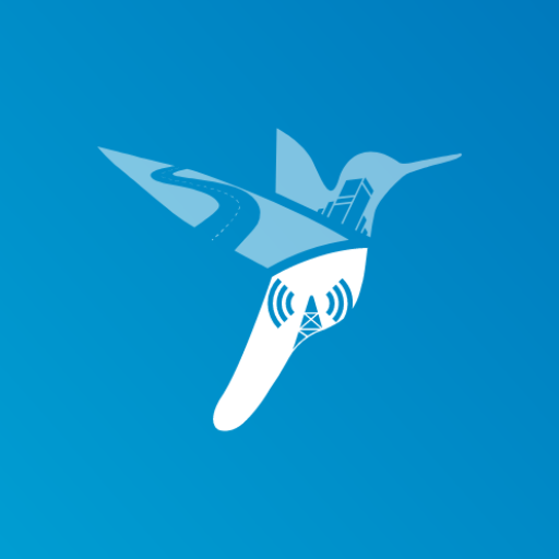 Network Surveyor logo