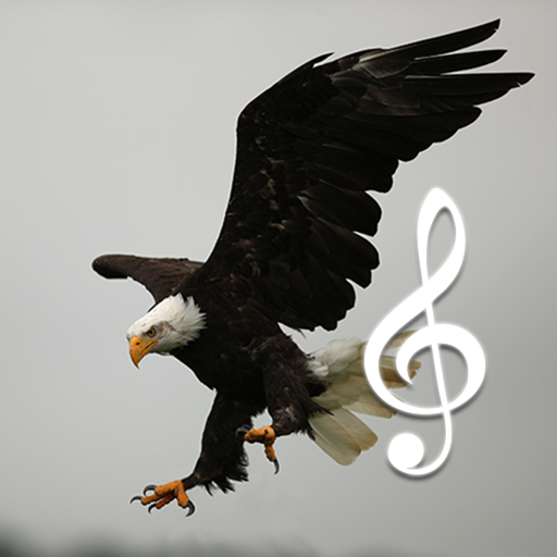 About: Bird and Animal sounds (Google Play version) | | Apptopia