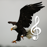 Cover Image of Unduh Suara burung dan hewan  APK