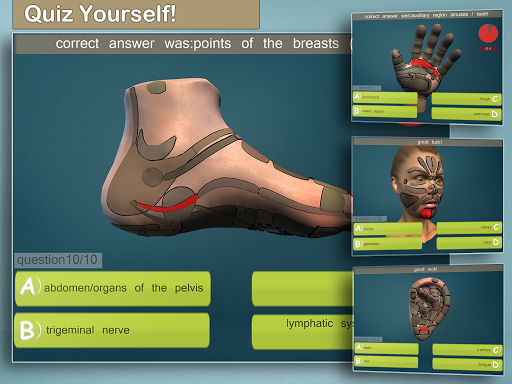 Screenshot of Total Reflexology 3D