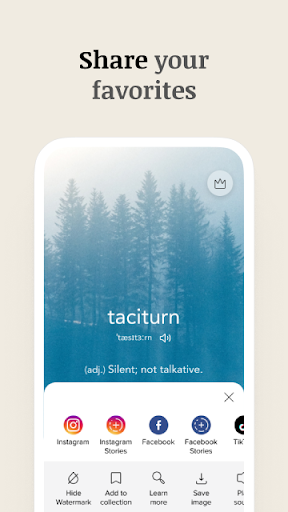 Vocabulary screenshot 8