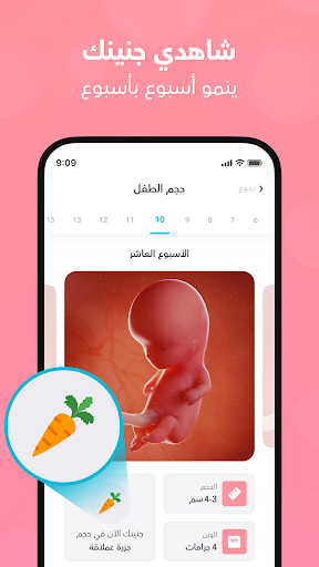 Android application حاسبة الحمل - متابعة | ماماز + screenshort