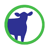 Cattle Market Mobile icon
