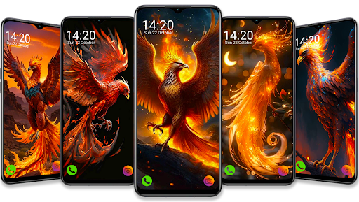Android application Phoenix wallpapers screenshort