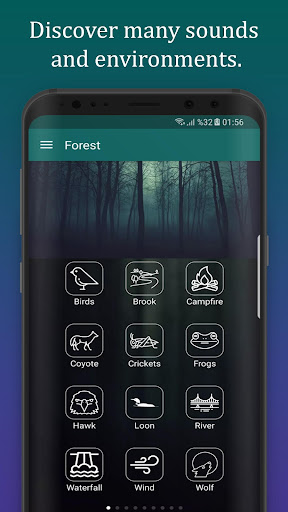 App-voorskou