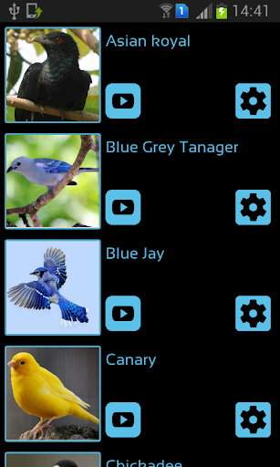 Android application Bird Sounds & Ringtones screenshort