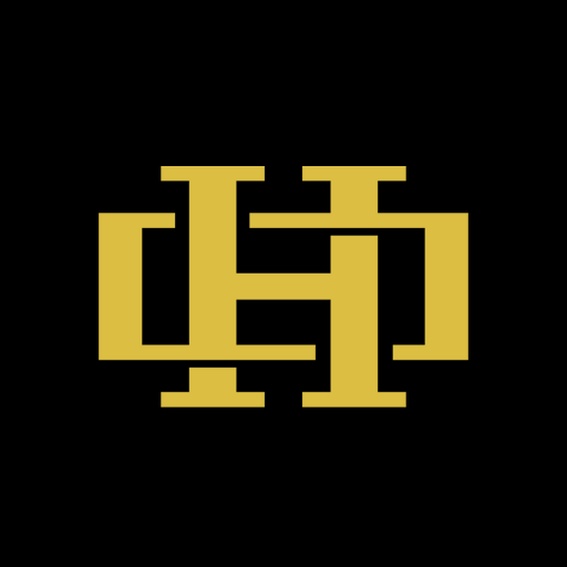 אור חיון logo