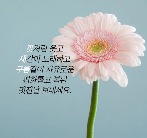 Android application 아름다운 좋은 아침 소원 screenshort