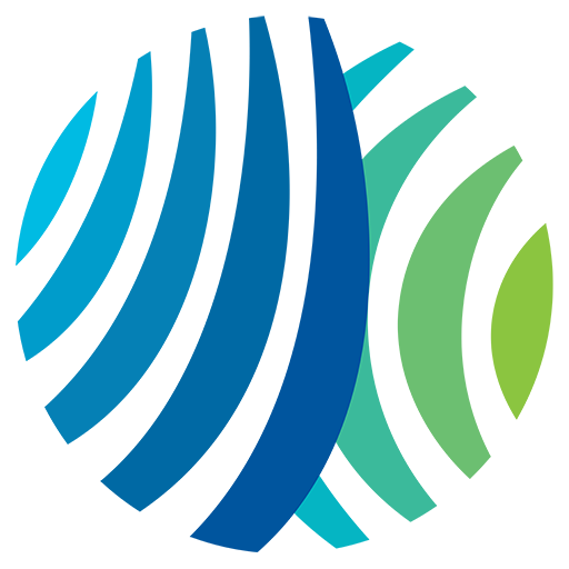 YORK Collection Download on Windows