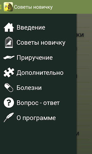 Android application Parrots screenshort