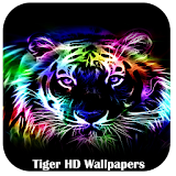 Tiger HD live Wallpapers icon