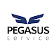 Download PEGASUS Service For PC Windows and Mac