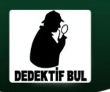 Dedektif Bul