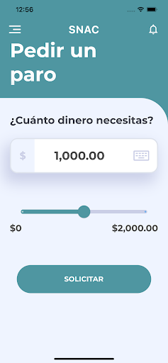 SNAC Screen 3